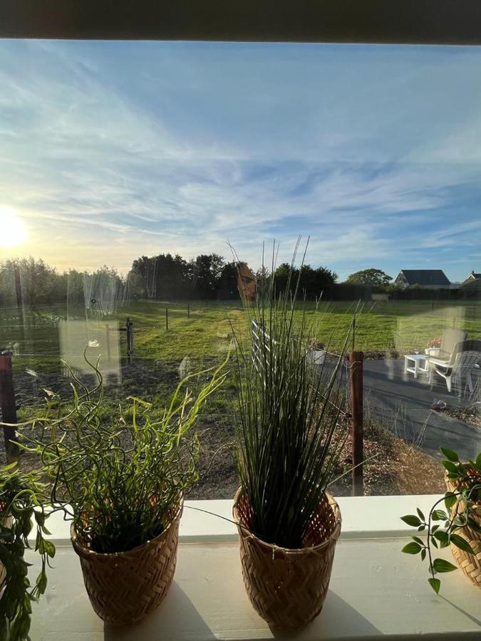 De Tulp Bed & Breakfast Noordgouwe Exterior photo