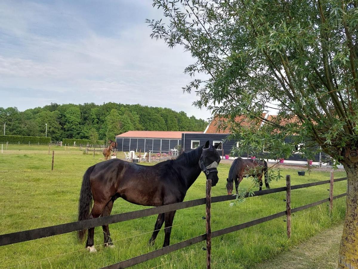 De Tulp Bed & Breakfast Noordgouwe Exterior photo
