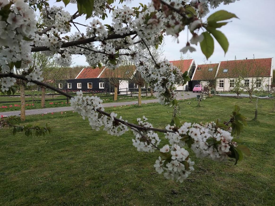 De Tulp Bed & Breakfast Noordgouwe Exterior photo